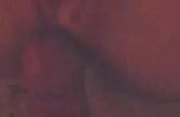Vinger vlug