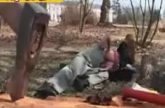 In het park gepijpt en hard geneukt
