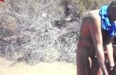 Ze pijpt elke stijve lul die langs haar loopt op het naakt strand